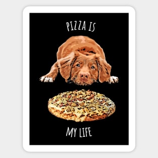 Pizza Is My Life Sticker